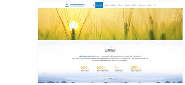 昆明奧遠科技 專業(yè)網(wǎng)站建設(shè)與新媒體運營服務(wù)商