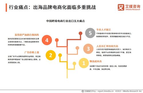 2023年中國品牌電商服務(wù)行業(yè)深度解析 信息咨詢服務(wù)的價(jià)值重塑與增長路徑